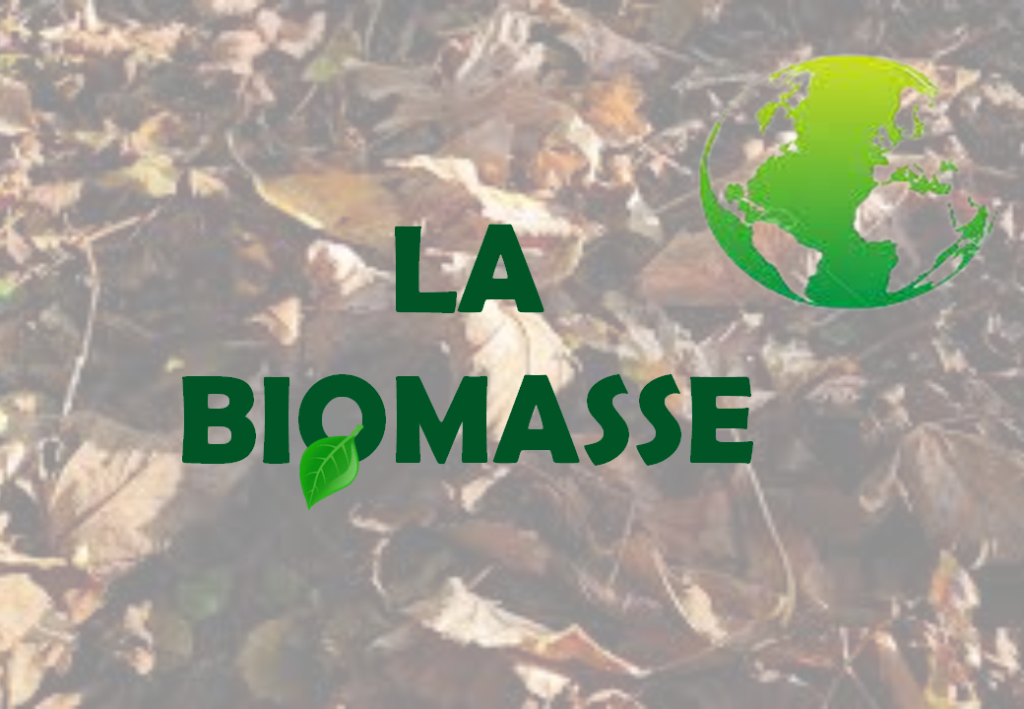 La biomasse